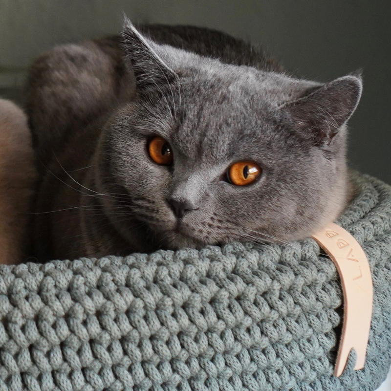 Coco pelíšek pro psa nebo kočku - Green