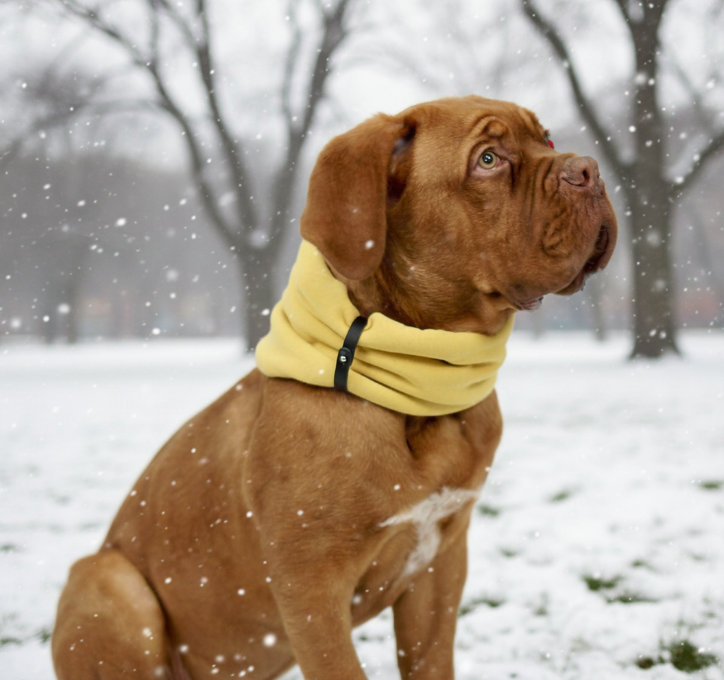 Inko Neck Warmer Gold – stylový nákrčník pro psy