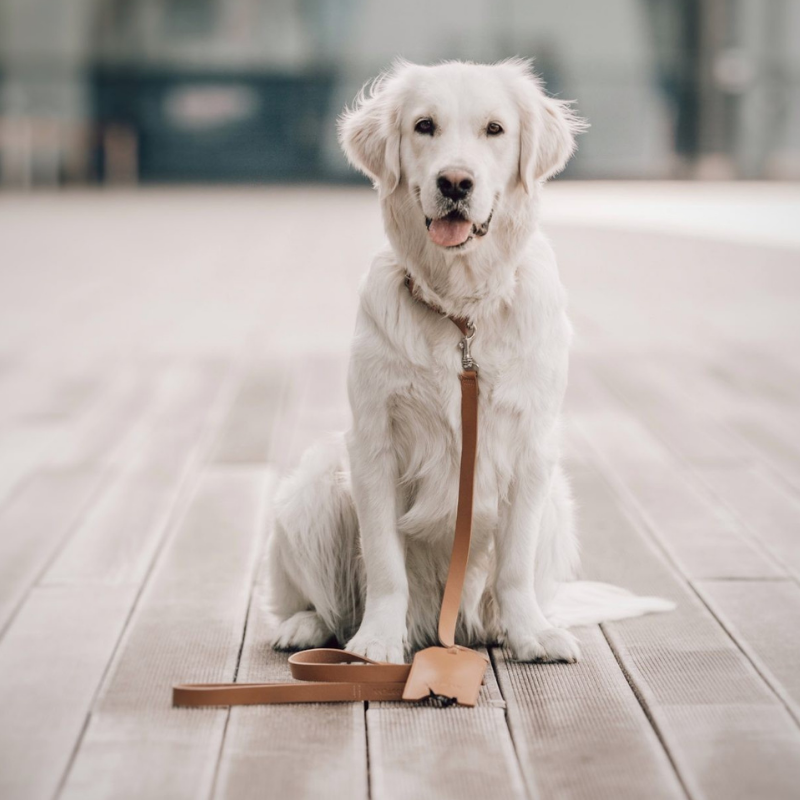 Kožené vodítko Lussa - Camel