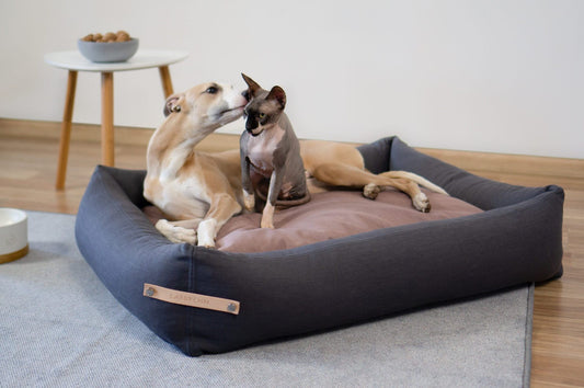 Stokke Dog Bed - Grey & Pink
