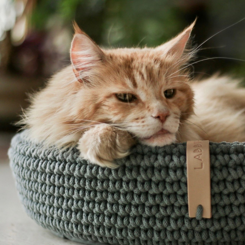 Coco pelíšek pro psa nebo kočku - Green