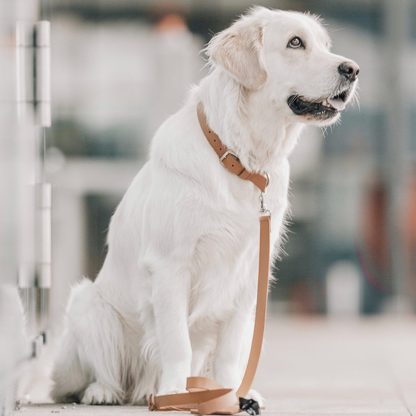 Kožený obojek Kollu - Camel